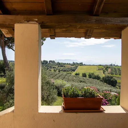 Appartement Vigna Luisa - Near Rome Genzano di Roma