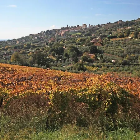 Vigna Luisa - Near Rome Genzano di Roma